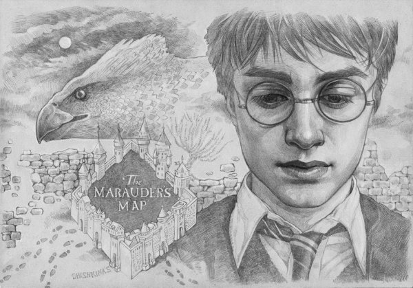 Рисасовате Гарри Поттер