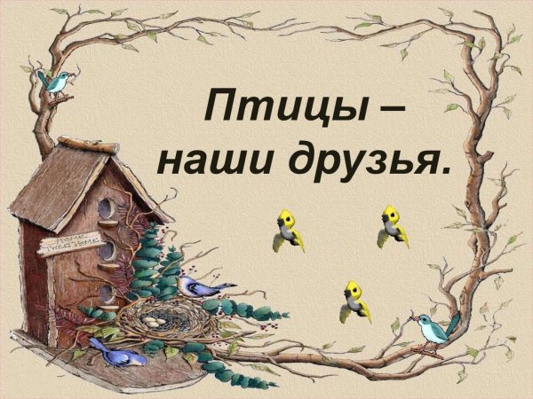 Птицы наши друзья