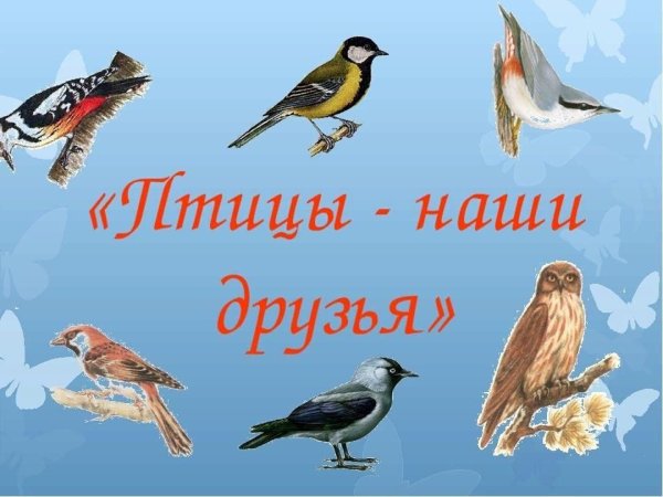 Птицы наши друзья