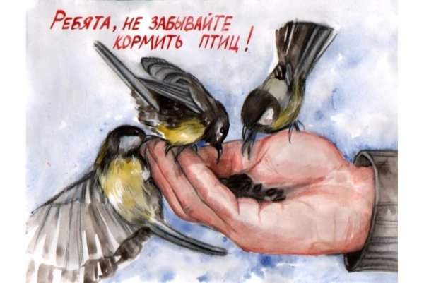 Покормите птиц зимой