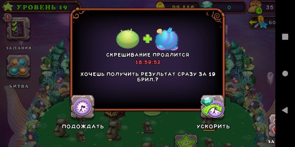 Редкий МАРАКАСТУК