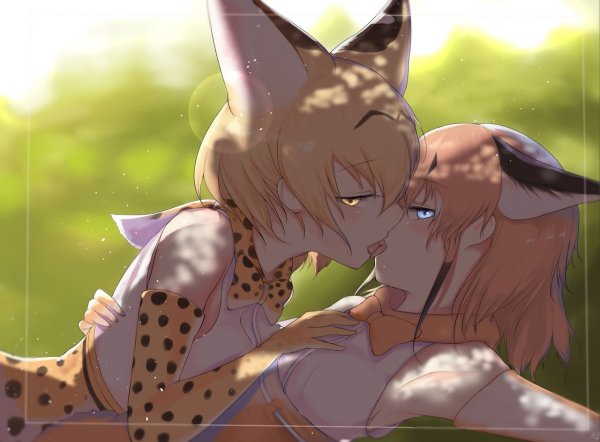 Kemono friends каракал