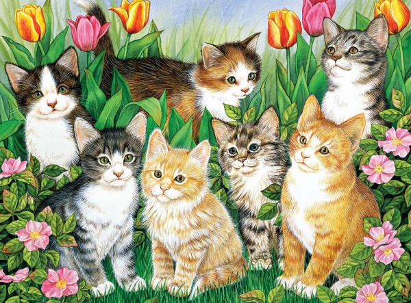 Котят Джейн Мэдей