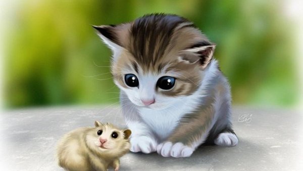Котята и хомячки