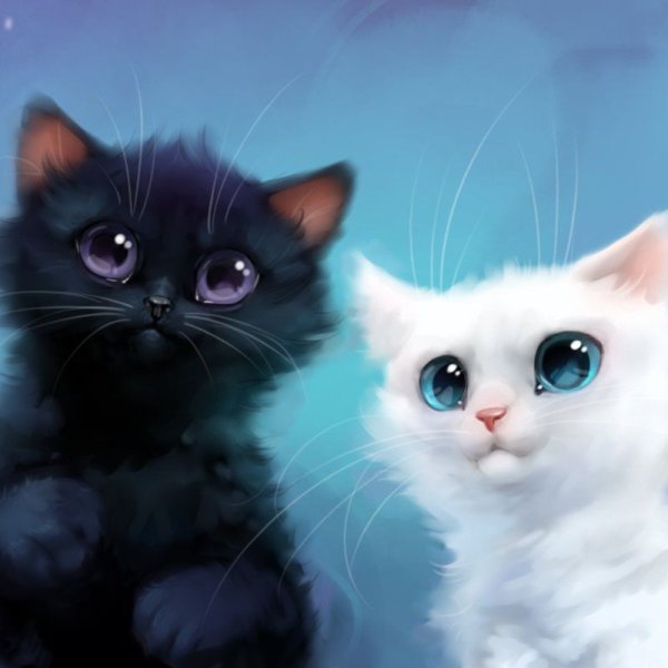 Милые котики