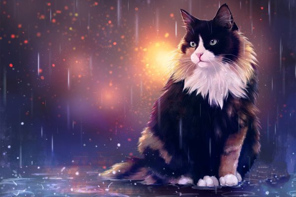 Коты арты