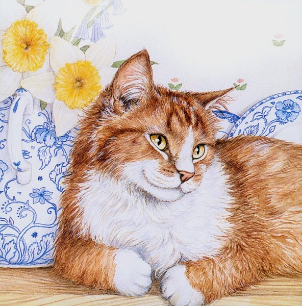 Художник Debbie Cook кошки