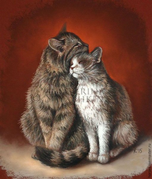 Кошки и коты любовь