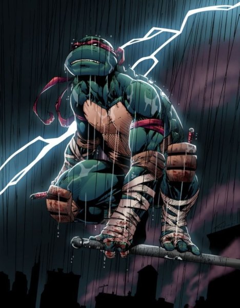Рафаэль (TMNT) 2003 арт