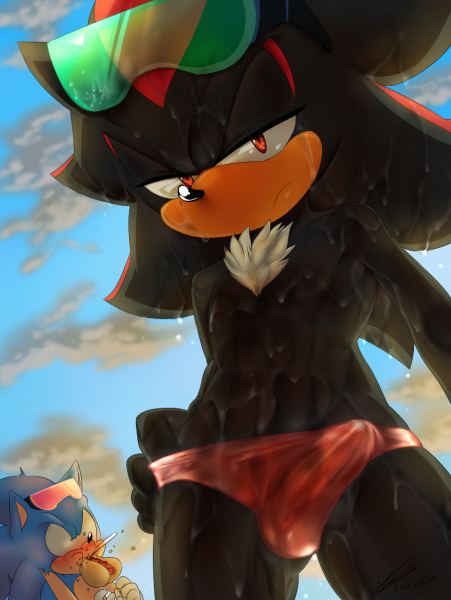 Sonic the Hedgehog Шедоу