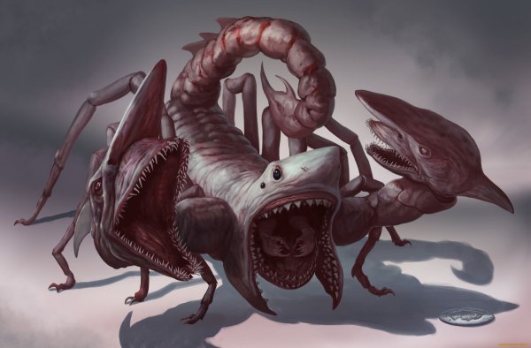 Скорпион DND