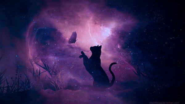 Кот арт