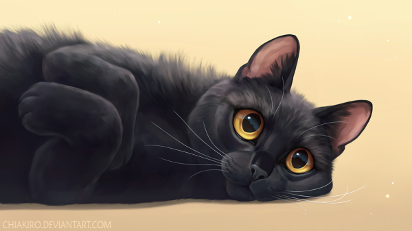 Кот арт