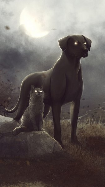 Арты кошек и собак
