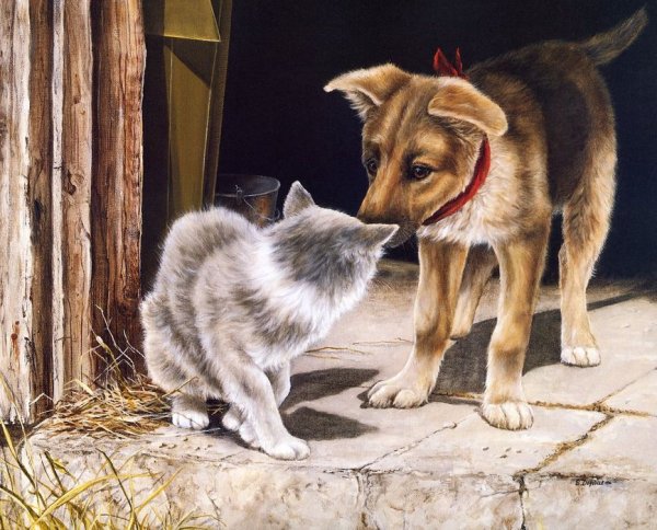 Художник Shirley Deaville