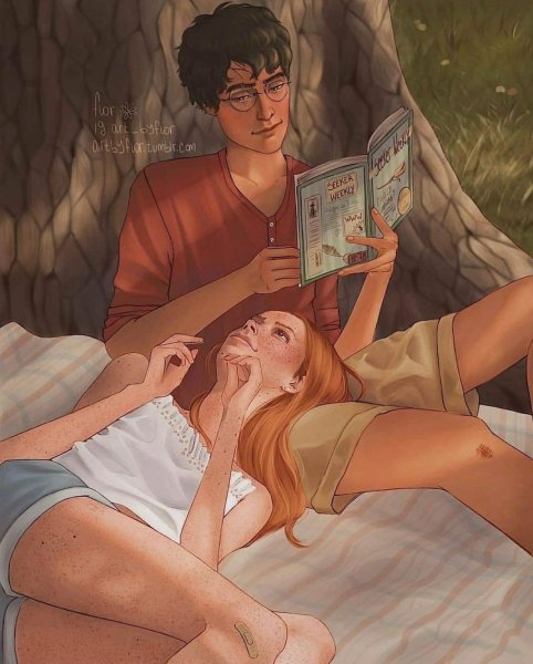 Гарри и Джинни арт 18