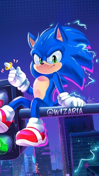 Sonic into the Sonic Verse