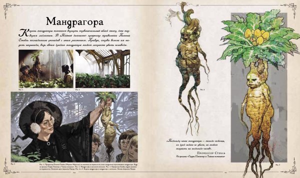 Ревенсон Джоди: Гарри Поттер. Фантастические существа