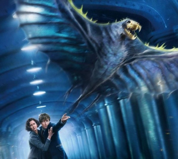 Гарри Поттер пикирующий злыдень