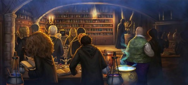 Гарри Поттер и принц полукровка Зельеварение