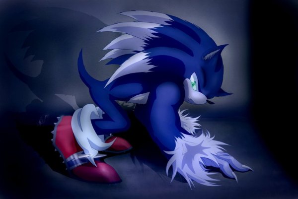 Соник Werehog