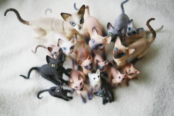 Фигурки кошек из полимерной глины