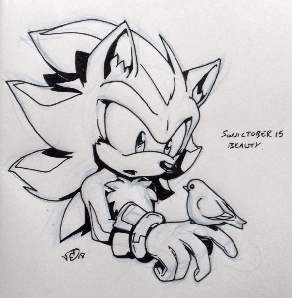 Sonic Adventure 2 раскраска