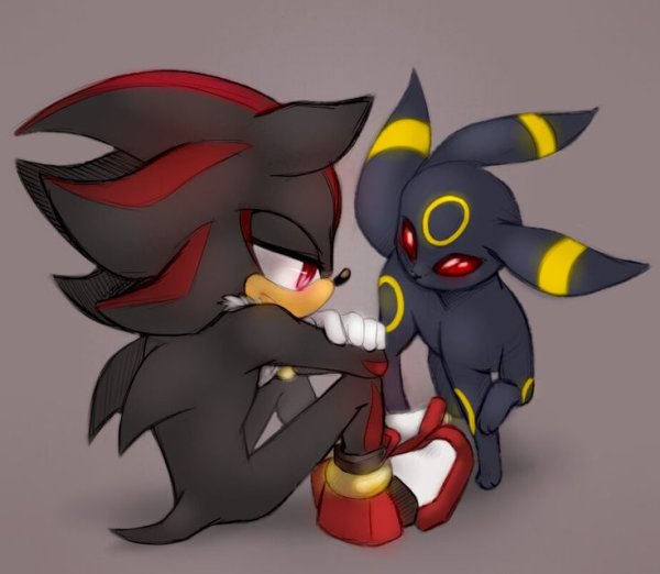 Ёж Шедоу и Umbreon