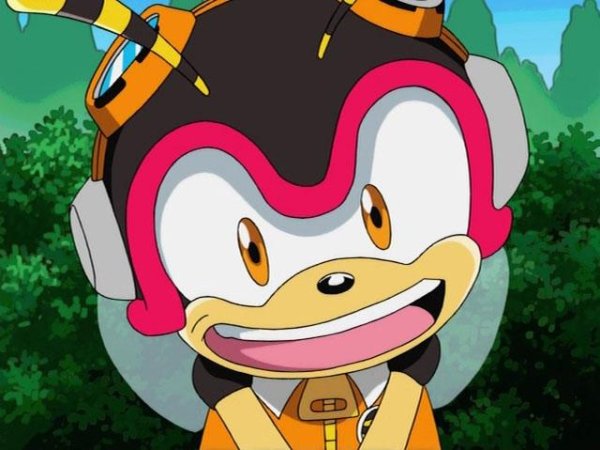 Sonic Чарми