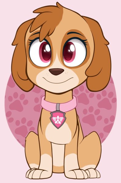 Paw Patrol Скай