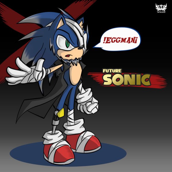 Sonic Future