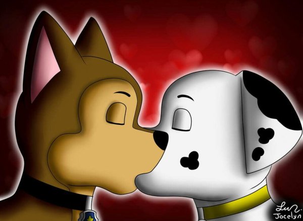 Paw Patrol Marshall x Chase