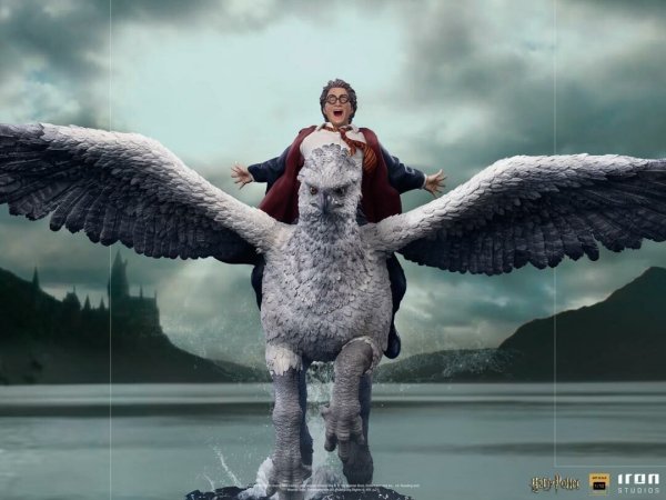 Гарри Поттер Клювокрыл