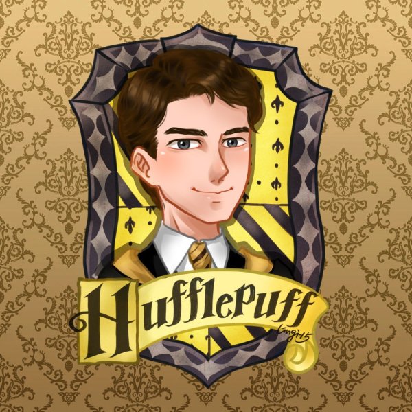 Harry Potter Хаффлпафф Седрик
