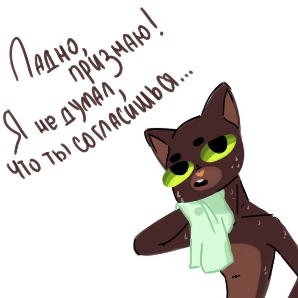 Кот и Анатолий сказочный патруль