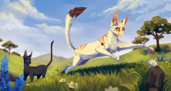 Коты Воители охота арт