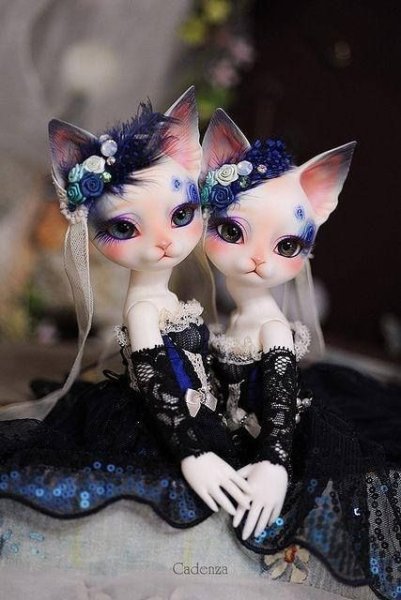 BJD куклы кошки