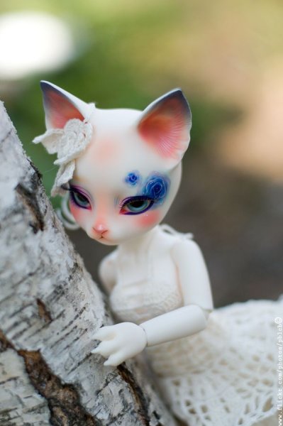 БЖД Доллс кошки