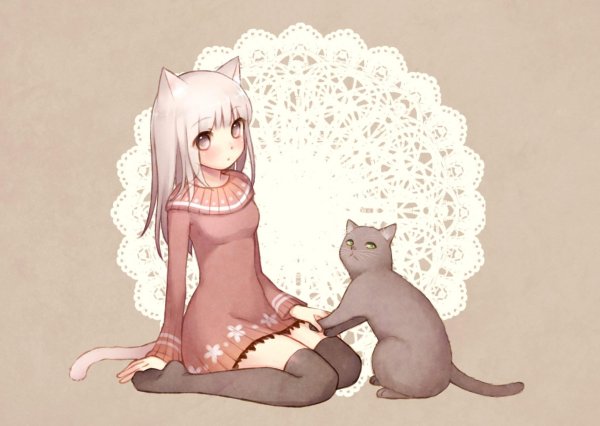 Аниме кошка