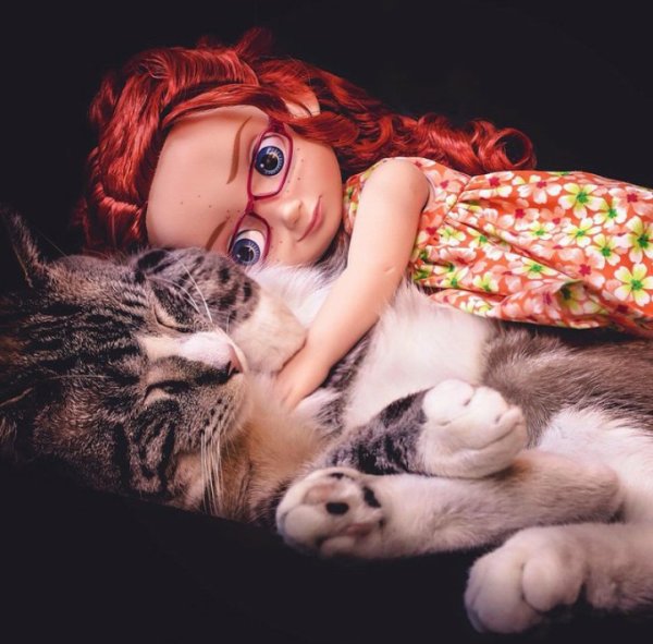 Кот обнимает игрушку