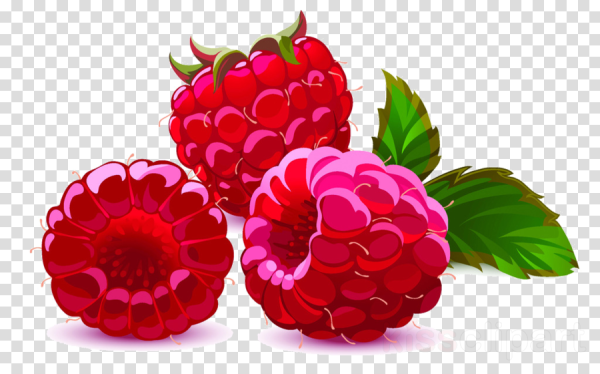 Малина мультяшная