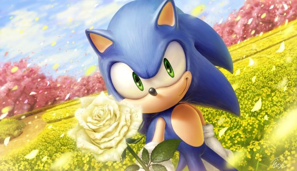 Sonic the Hedgehog