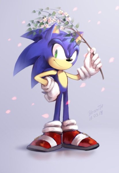 Sonic ёж Соник