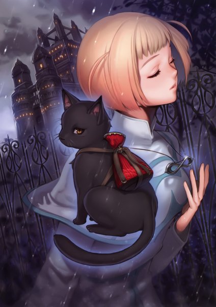 Аниме кошка