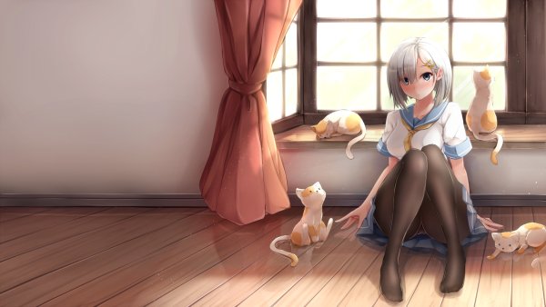 Kyonyuu hamakaze