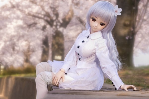 BJD куклы девушки