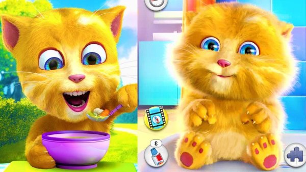 Джинджер кот игра