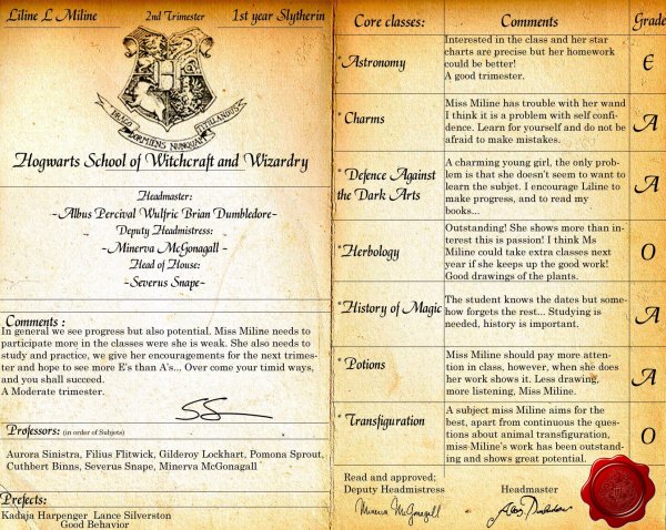 Список книг из Гарри Поттера в Хогвартс