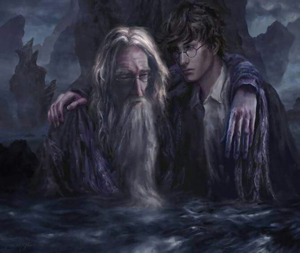 Гарри и Дамблдор принц полукровка