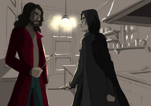 Гарри Поттер Блэк Северус